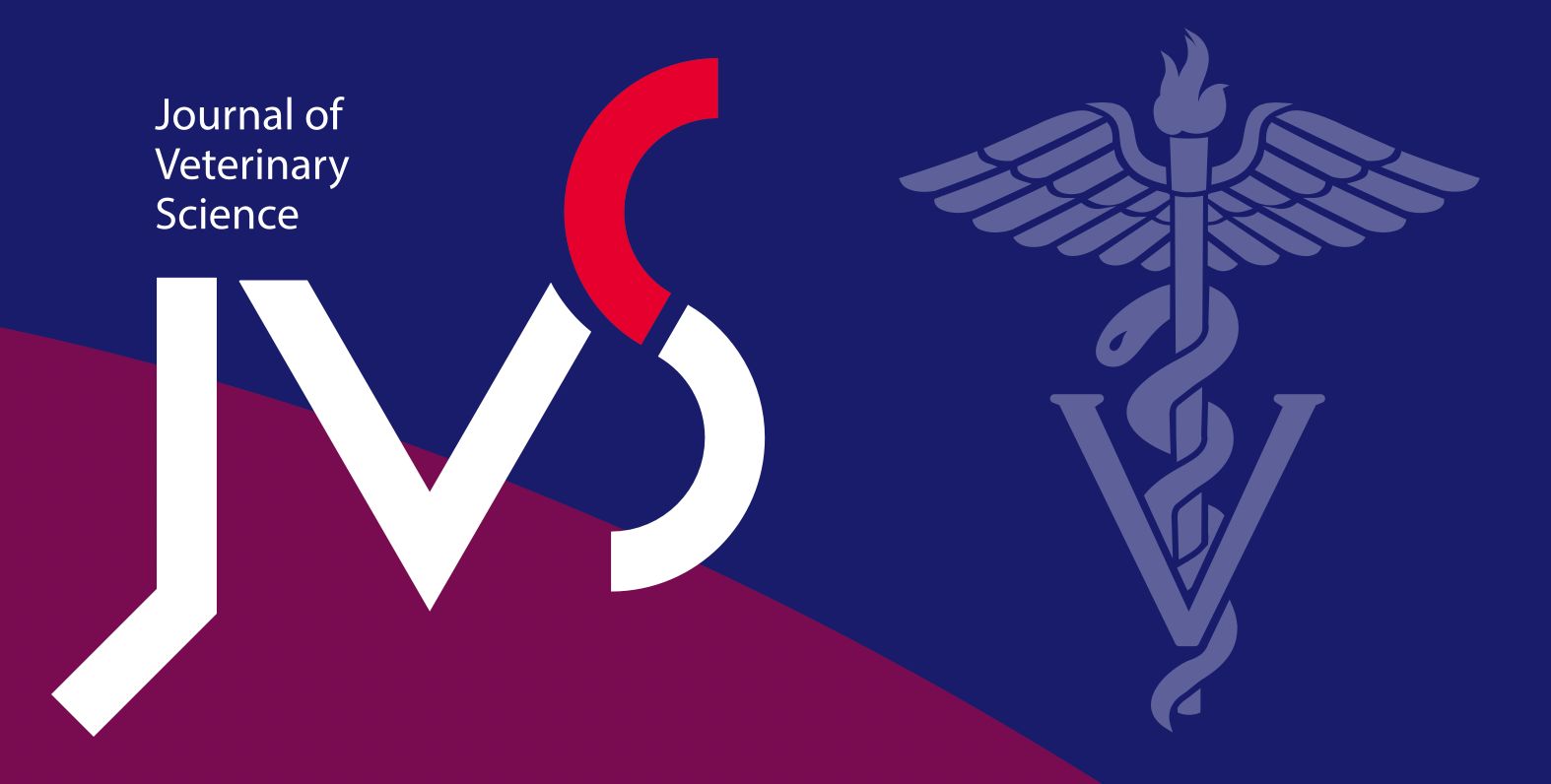 WhatsApp Image 2025-07-30 at 17.48.35